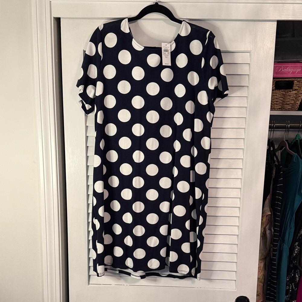Ann Taylor Factory Navy and White Polka Dot Dress